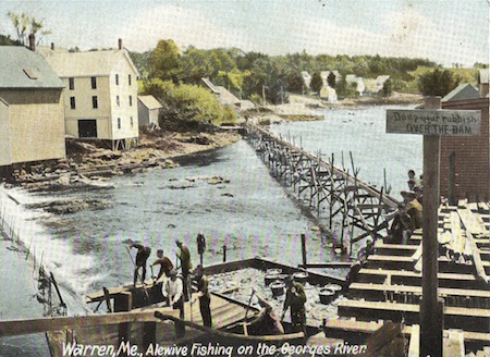 Dam at Warren on the St. Georges River ca. 1900